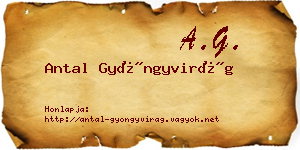 Antal Gyöngyvirág névjegykártya